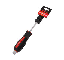 Pozidriv Screwdriver