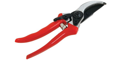 Pruning Shears