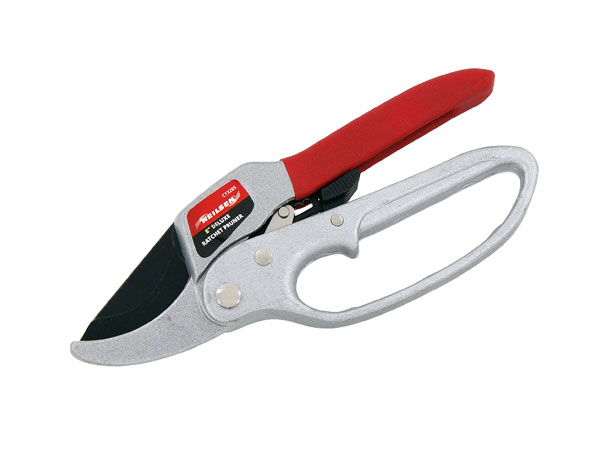 Ratchet Pruner