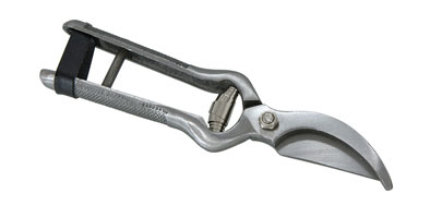 Pruning Shears