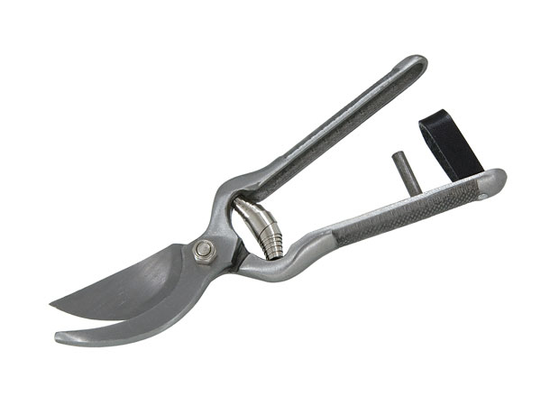 Pruning Shears