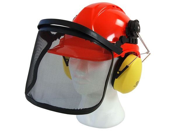 Safety Helmet with Ear Defenders