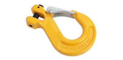 Chain and Clevis Hook - 6M